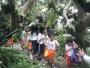 Kunjungan JKS & JES ke Kebun Raya Bogor